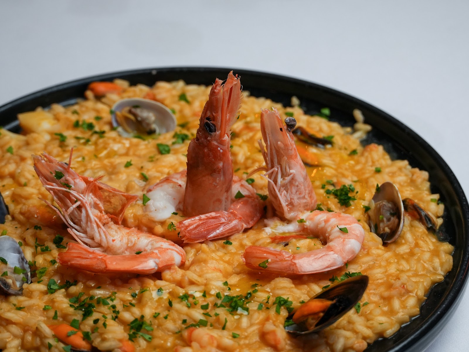 Zio Pesce